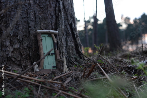 Foto Fairy Door in the Woods