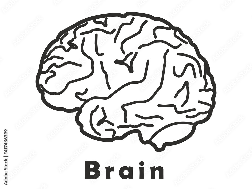 Human brain icon with neural bonds, stock vector Human brain icon with neural bonds, stock vector
