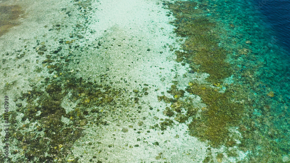 Fototapeta premium Sea water surface in lagoon with coral reef copy space for text. Top view transparent turquoise ocean water surface. background texture