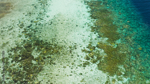 Fototapeta Naklejka Na Ścianę i Meble -  Sea water surface in lagoon with coral reef copy space for text. Top view transparent turquoise ocean water surface. background texture