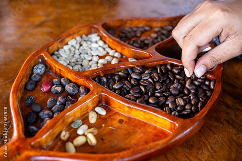 Hand touching different types of coffee beans in Villa Rica - Oxapampa - Mano tocando diferentes tipos de granos de Café photo