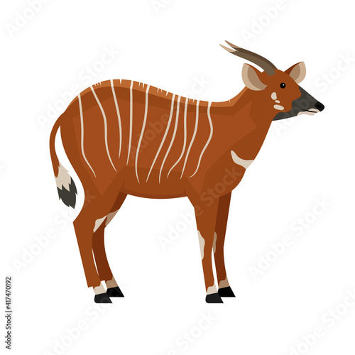 Hoofed animal with horns. Cartoon symbol of hunting, exotic beast of wildlife, vector illustration of eastern bongo isolated on white background