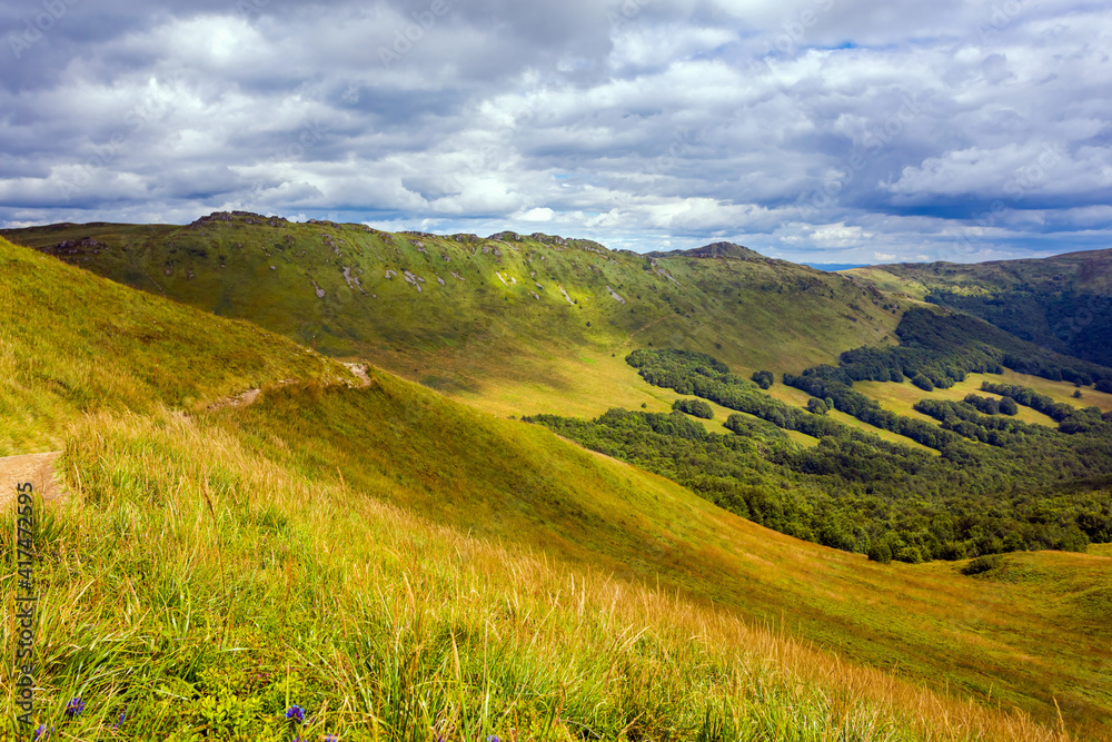 Fototapeta premium Bukowe Berdo path in Bieszczady