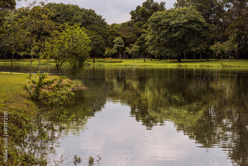 Paisagem de parque com reflexo das árvores no lago. 