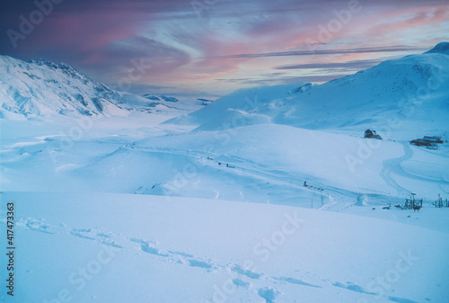sleed dog, snow, landscape magic