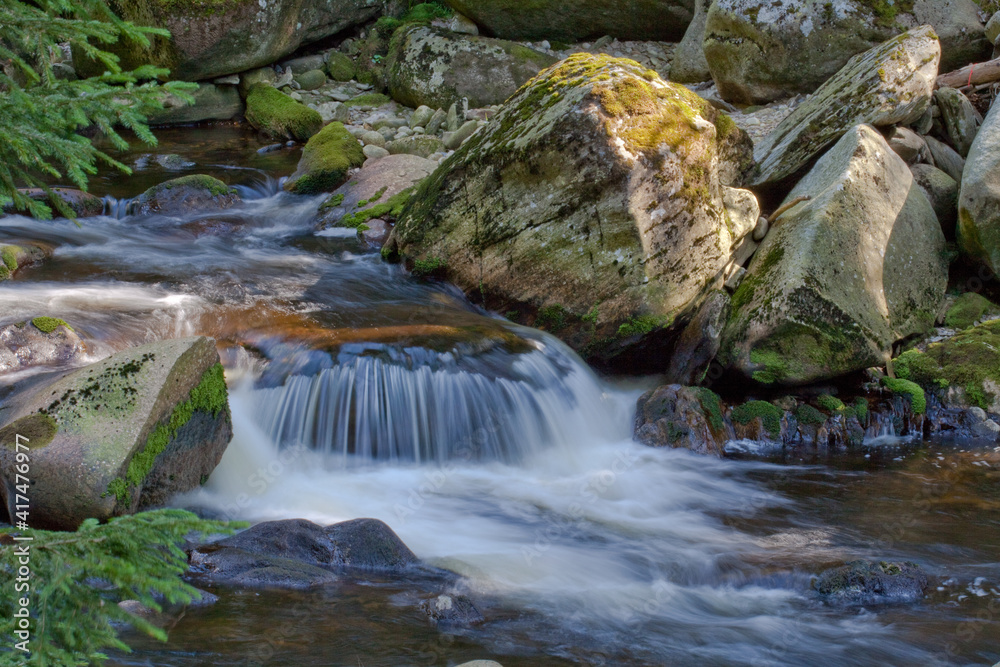 Fototapeta premium waterfall in the forest / czech republic, sumava