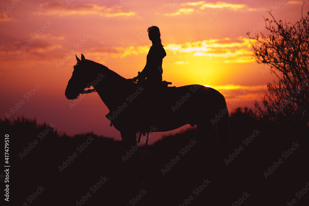 Silhouette of a rider and horse on a background of sunrise or sunset. Girl riding a stallion.