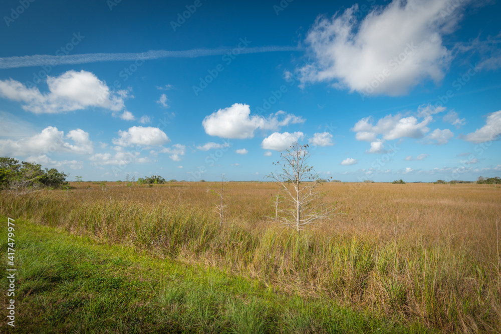 Beautiful and natural Feild in nowhere Beautiful and natural Feild in nowhere