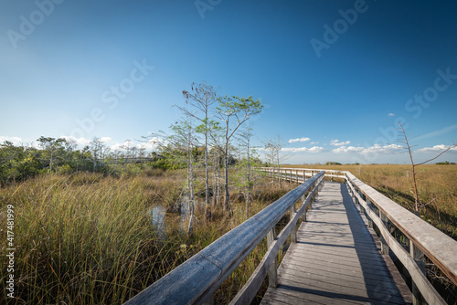Fototapeta Naklejka Na Ścianę i Meble -  Beautiful and natural Floridian Park