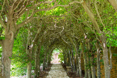 Pathway through a green archway Fototapet