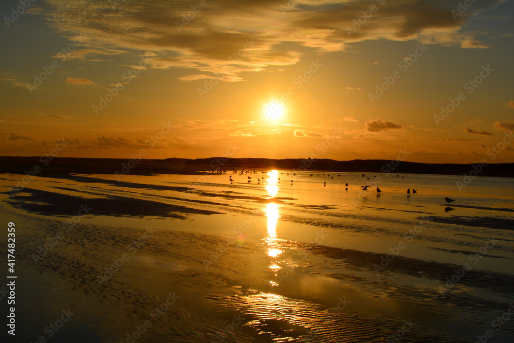 Oramge sunset  over the sea with birds  at low tide