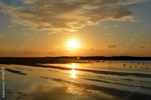 Sunset at low tide over the sea with lots of seagulls