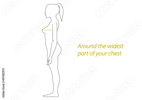 women chest size measurement