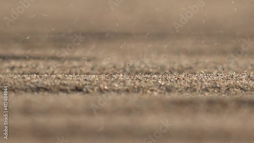 Sandstorm on the sand surface in the desert.Barren arid infertile xeric desertic treeless dried dry drought dehydrated waterless steppe vast extensive unlimitedness immensity wind windy erosion winds  photo