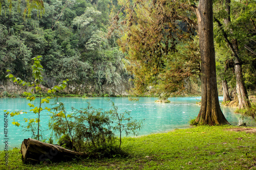 riber in the forest