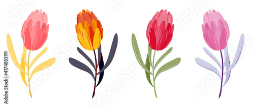Set of different colors tulips with leaves. Collection of hand-drawn flowers for wedding cards  postcards  holidays  mother s day  women s day. Summer tulips illustration isolated on white background