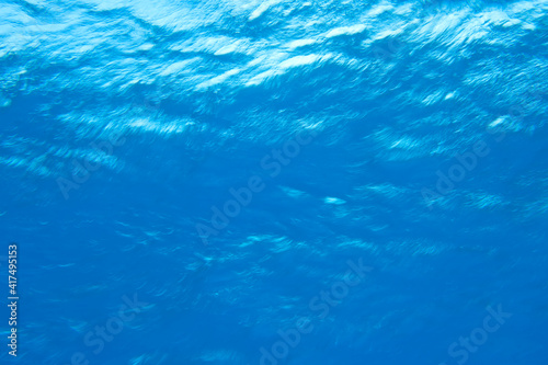 underwater upward angle view of ocean surface, Utila, North Side, Bay Islands, Honduras, Central America