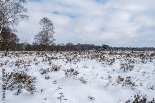 Naturschutzgebiet Zwillbrocker Venn, Winter, Schnee