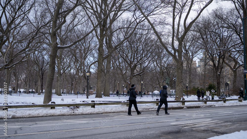 Running on Central Park New York