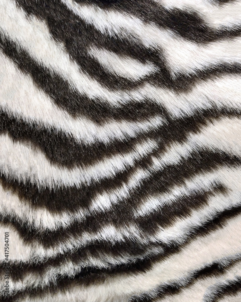 Zebra fur texture background, closeup of stripes Stock Photo | Adobe Stock