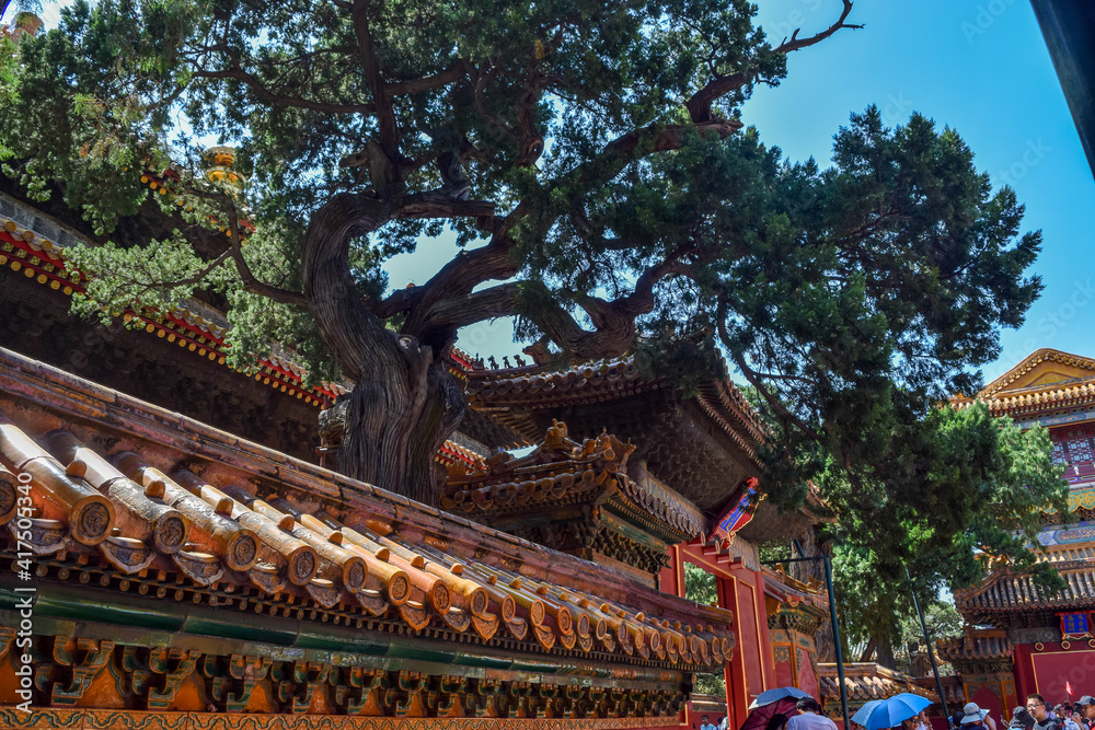 Obraz premium chinese temple