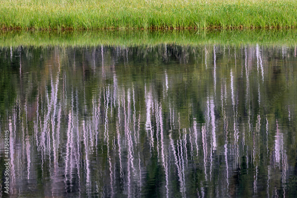 USA, Alaska, Sitka. Rippled tree reflections in Kalinin Bay. USA, Alaska, Sitka. Rippled tree reflections in Kalinin Bay.