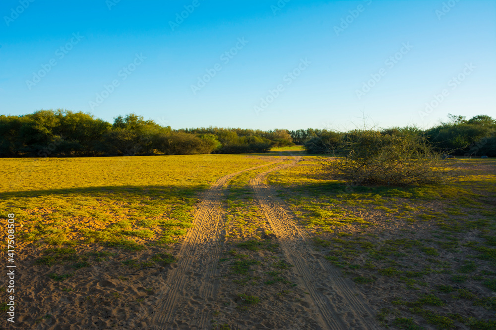 Obraz premium Landscape