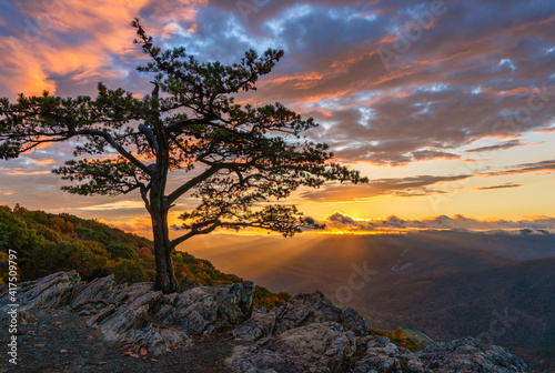 Autumn sunset on the Blue Ridge Parkway at the Ravens Roost Overlook - Virginia - lone tree © Craig Zerbe