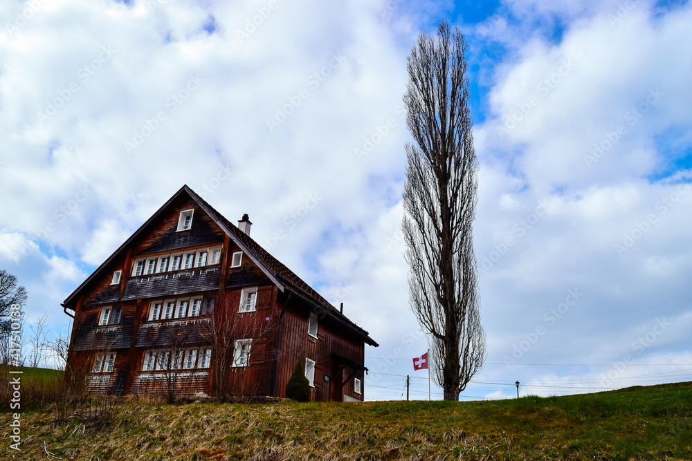 Obraz premium The traditional, wooden, swiss houses with a garden against mountains.