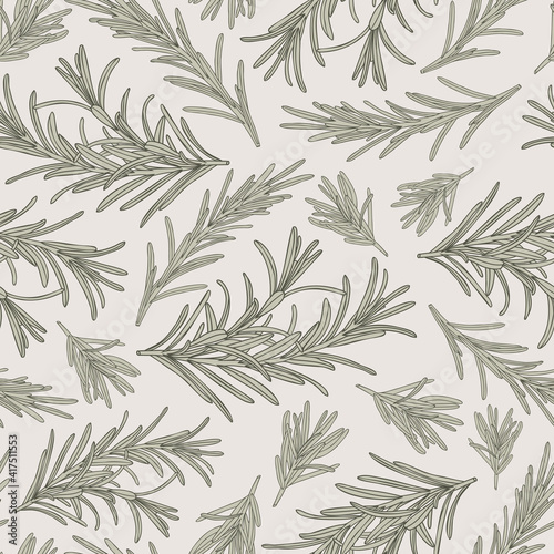 Rosemary seamless pattern herbs drawing