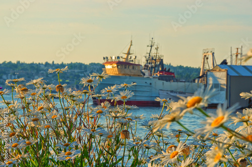 Boat And Flowers photo