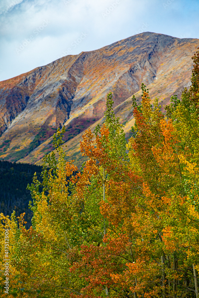 Richardson Highway, Alaska, autumn color, birch, aspens, mountains, Permafrost