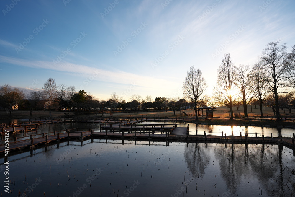 Obraz premium 美しい公園の日没