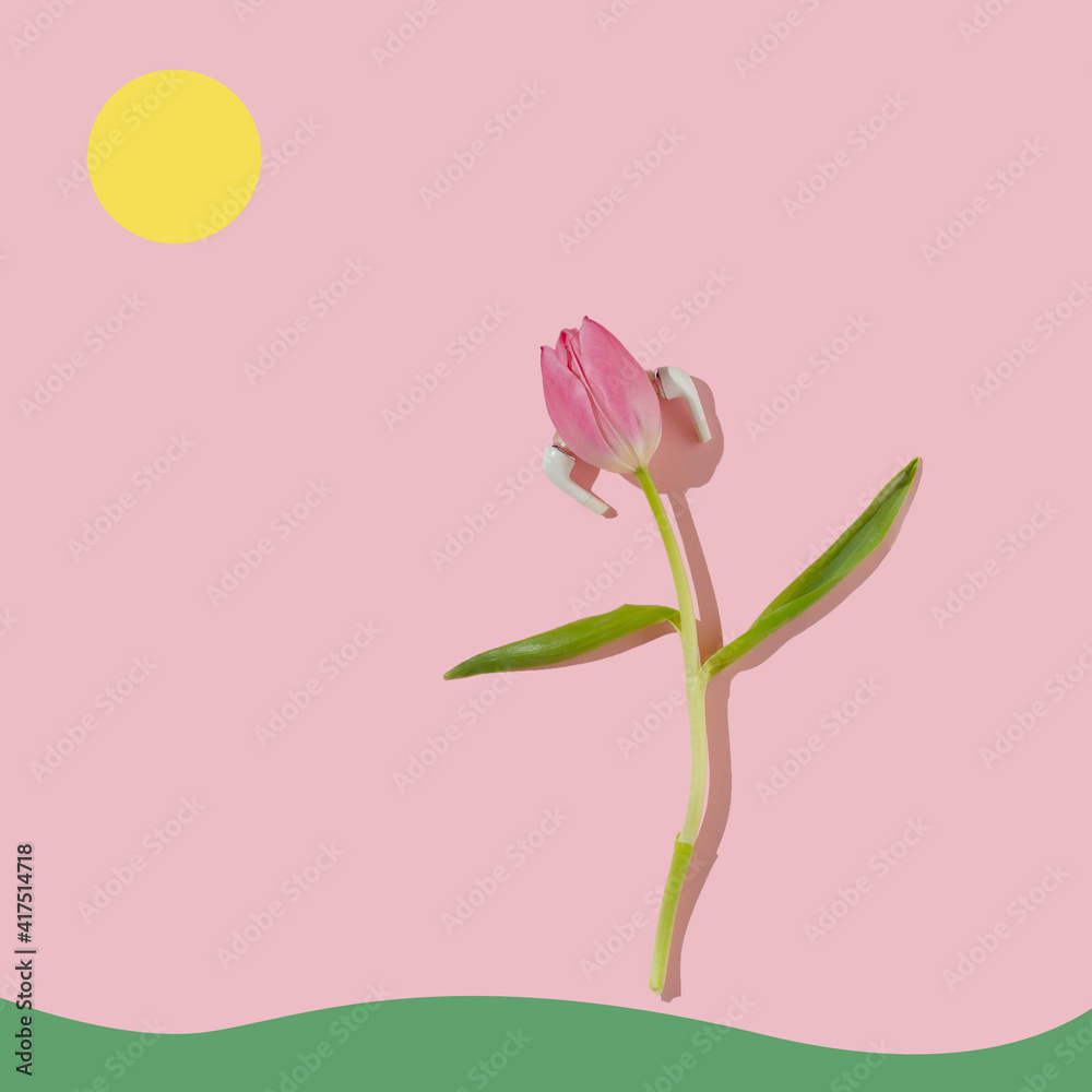 Dancing tulip on light pink background with grass and sun. Minimal flat lay spring concept