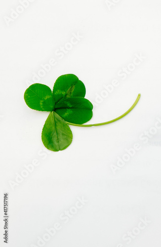 Greeting happy Four leaf clover. Luck concept. Patrick day symbol. © Feng