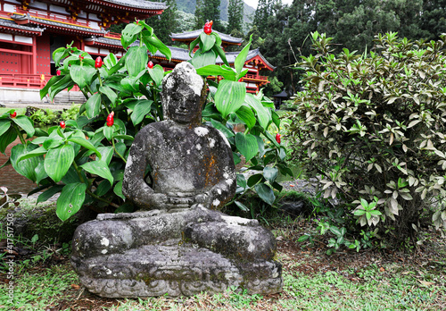 Peaceful Buddha Statue in Temple Garden photo
