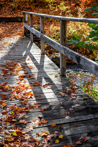 Narrow wooden footbridge with fallen leaves over a river in an autumn maple forest lit by the sun in Vermont