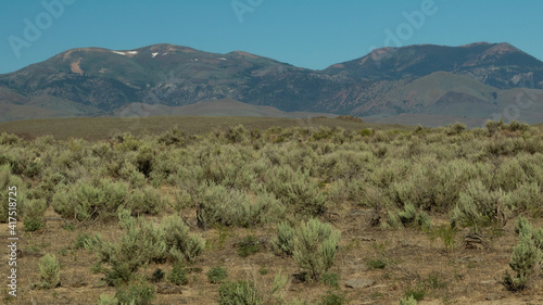 High desert landscape