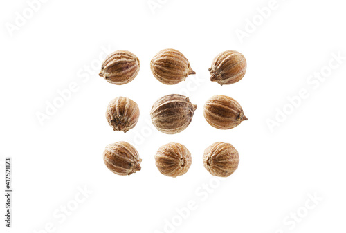 A set of coriander seeds. Isolated on a white background