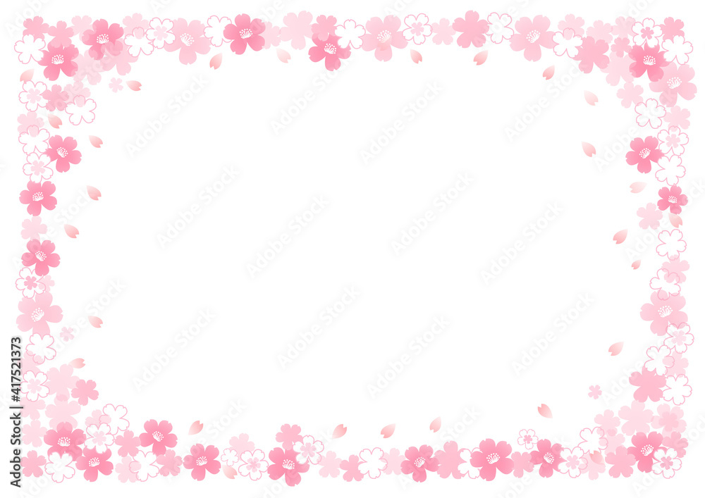 イラスト素材: 桜　飾り枠　春　白　背景