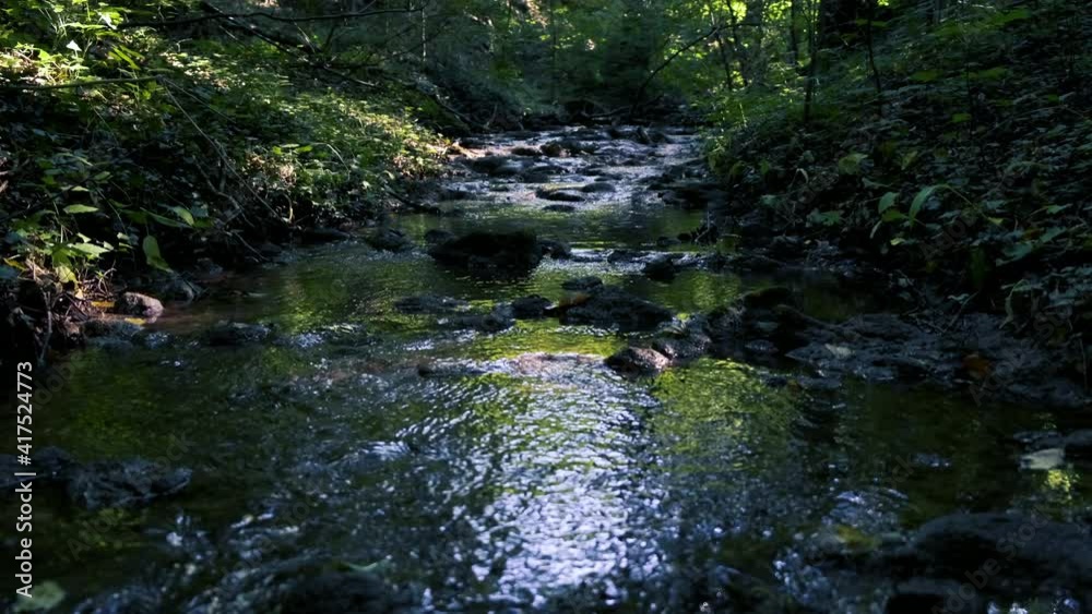 small river in the forest small river in the forest