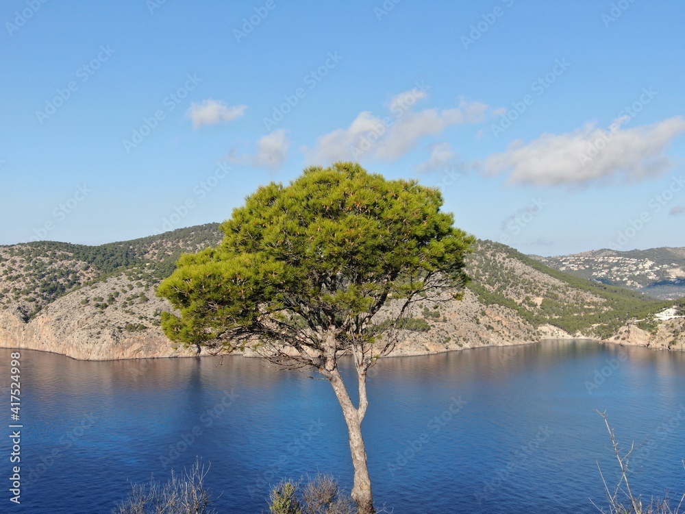 Naklejka premium aerial view of the coast of Mallorca. Beach, blue sky and mountains. Concept of nature, holidays and relax
