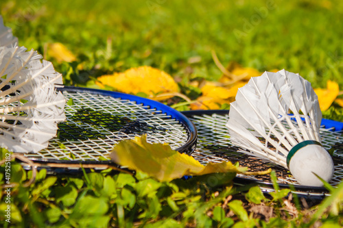 Badminton rackets and shuttlecocks lie on the grass and leaves. Close-up