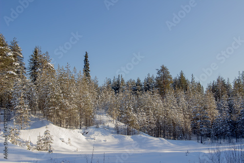 Nature Reserve of Russia, Arkhangelsk region Golubino. photo