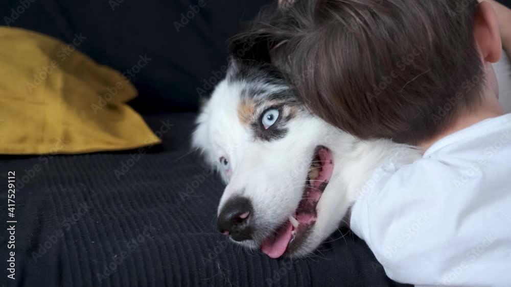 4k. Boy embracing young australian shepherd merle lying on the coach 4k. Boy embracing young australian shepherd merle lying on the coach