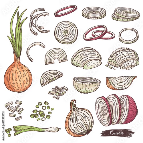 Set of chopped onion, slices of raw vegetable, fresh natural vegetarian food.