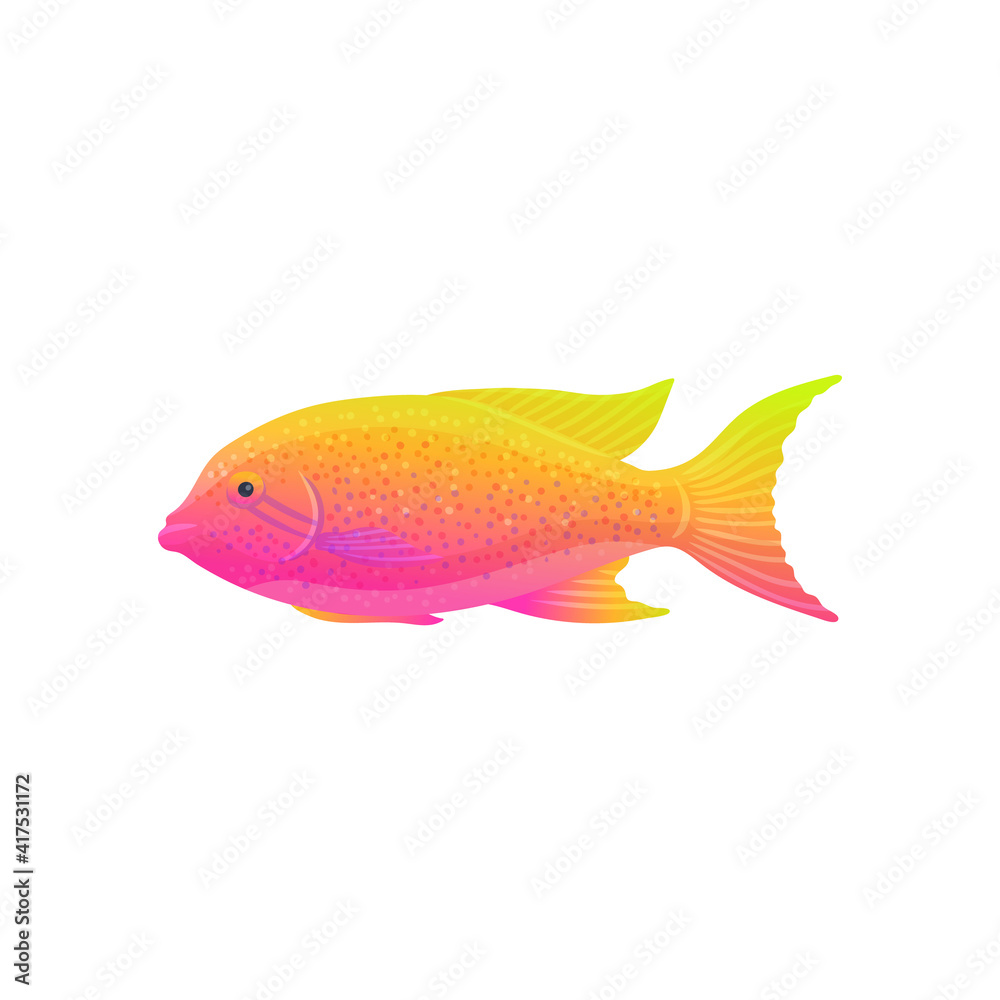 Beautiful tropical fish with pink and yellow color gradient.