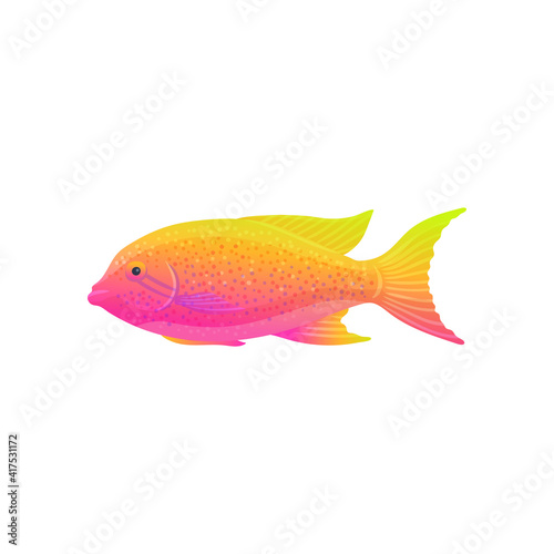 Beautiful tropical fish with pink and yellow color gradient.