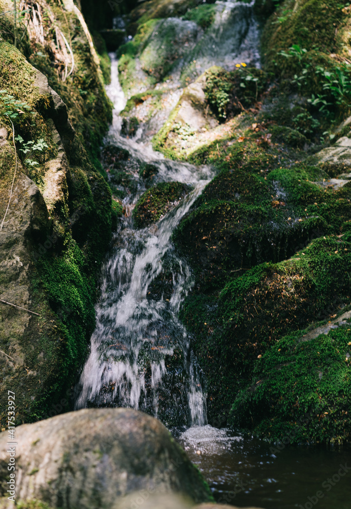 Obraz premium Waterfall forest