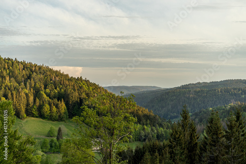View Black forest